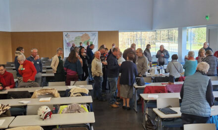 Matinée des pôles solidarité