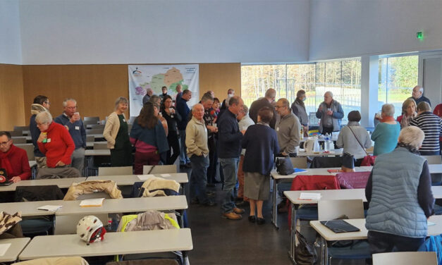 Matinée des pôles solidarité