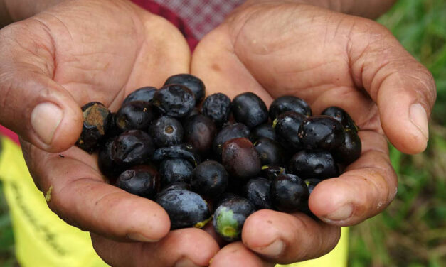 1er dimanche de carême avec le CCFD-Terre Solidaire