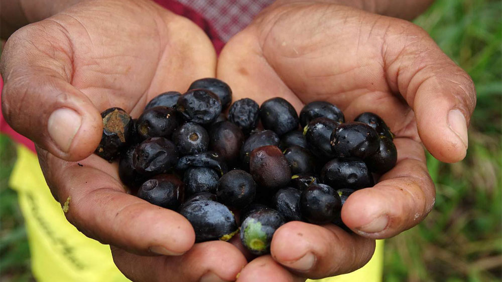 1er dimanche de carême avec le CCFD-Terre Solidaire