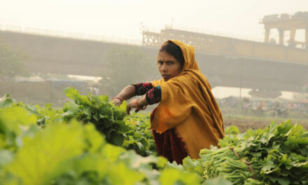 2e dimanche de carême avec le CCFD-Terre Solidaire