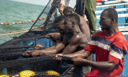 3e dimanche de carême avec le CCFD-Terre Solidaire