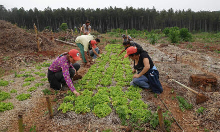 5e dimanche de carême avec le CCFD-Terre Solidaire