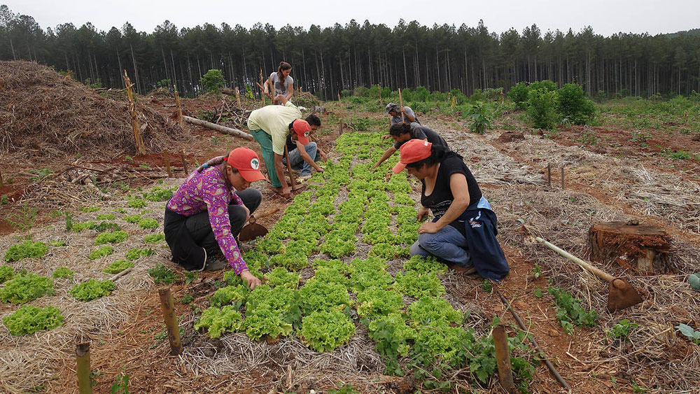 5e dimanche de carême avec le CCFD-Terre Solidaire