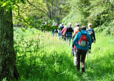 Tro-breiz_20240414_01