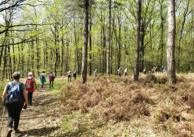 Tro-breiz_20240414_02