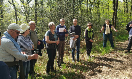 Marche du Tro Breiz à Saint-Mars-la-Jaille