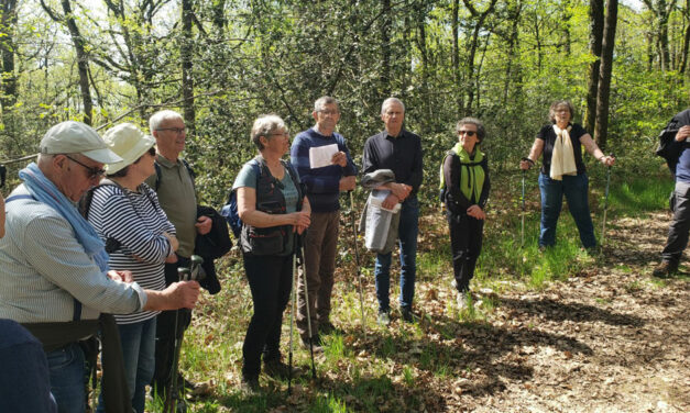 Marche du Tro Breiz à Saint-Mars-la-Jaille