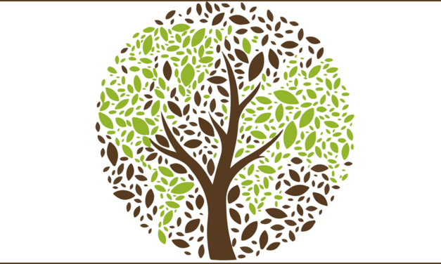 Qu’est-ce que l’écologie intégrale ?