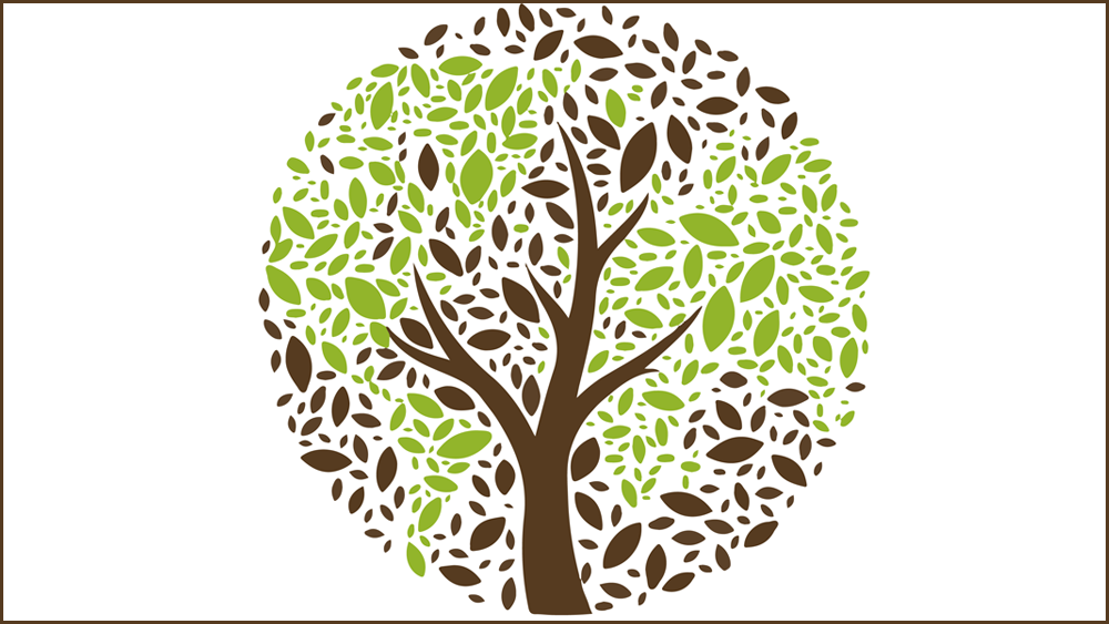 Qu’est-ce que l’écologie intégrale ?