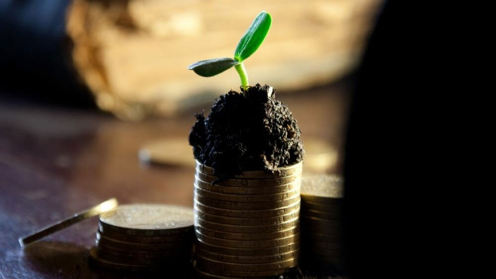 Finance et Création, quel est le lien ?