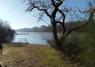 Trobreiz-Savenay_20250202_04