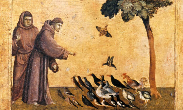 L&rsquo;anniversaire du Cantique des créatures