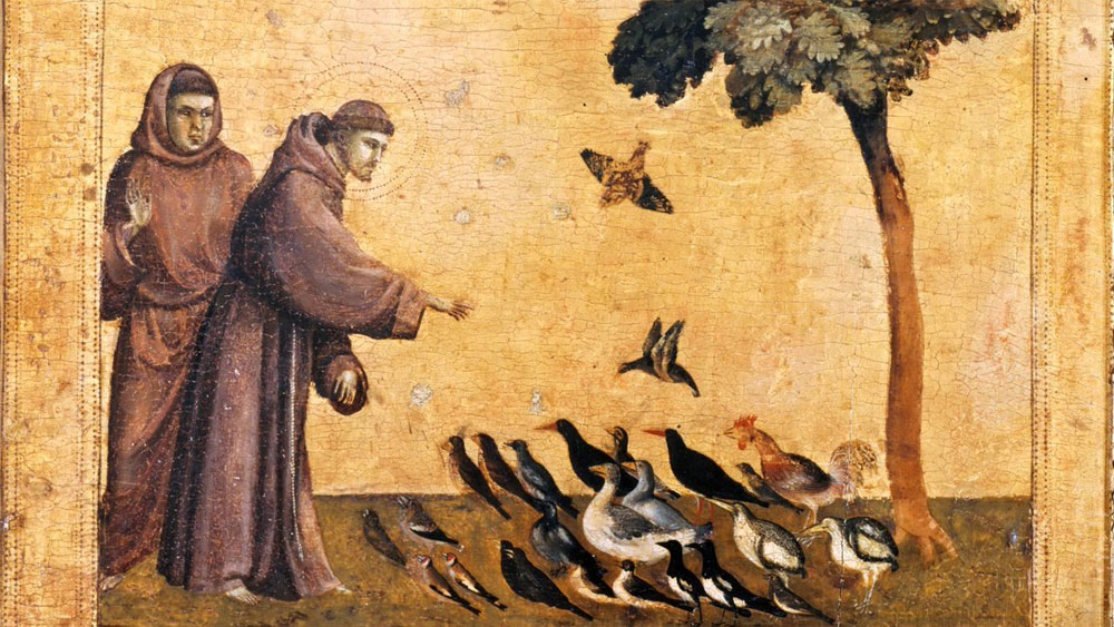 L&rsquo;anniversaire du Cantique des créatures