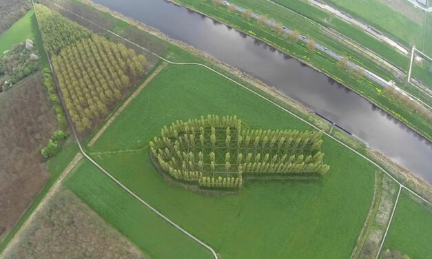 Le service formation travaille pour vous !