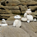 Éditorial de Mathilde Finot