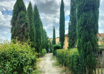 Aout 2025 : la Toscane