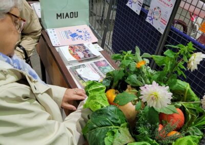 Les légumes du potager du Secours catholique