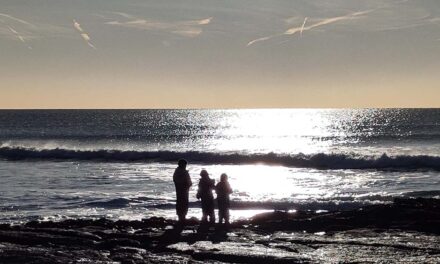 Écologie Intégrale