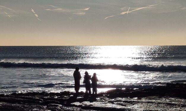 Écologie Intégrale